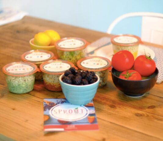 Sprout has raised $200K in funding sprout pic