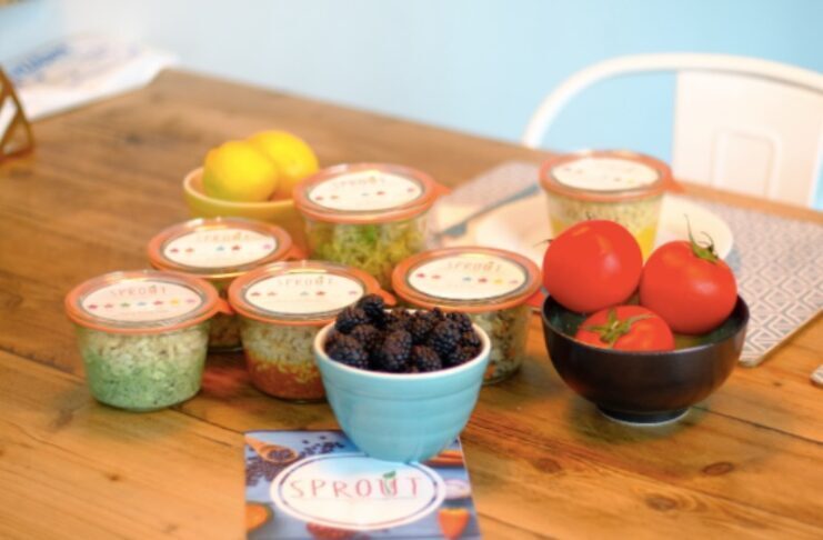 Sprout has raised $200K in funding sprout pic