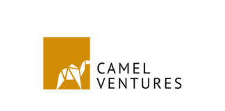 Venture-Debt Focused Fund: Dfin Holding to Launch Camel Ventures Camel Ventures Logo