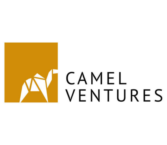 Venture-Debt Focused Fund: Dfin Holding to Launch Camel Ventures Camel Ventures Logo