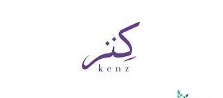 six-figures raised by Kenz in Pre-Series A round kenz logo