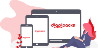 DIGGIPACKS raised pre-seed funding of $400K Diggipacks logo