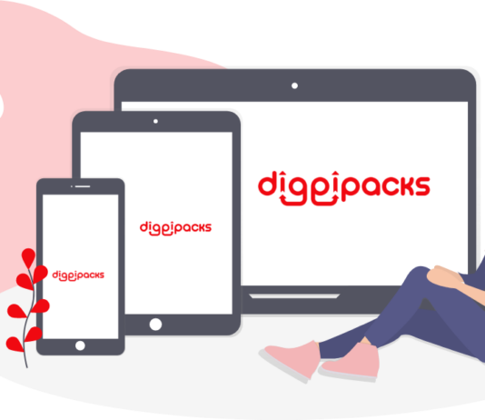 DIGGIPACKS raised pre-seed funding of $400K Diggipacks logo