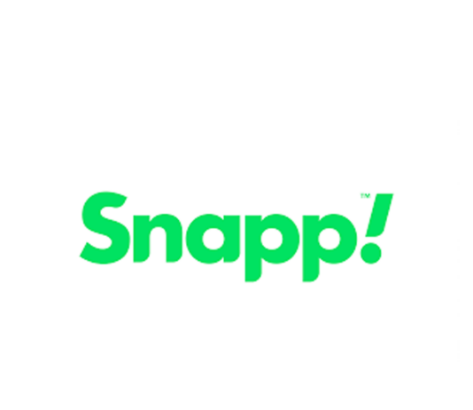 Snapp group Iran publish 2020 annual report Snapp logo