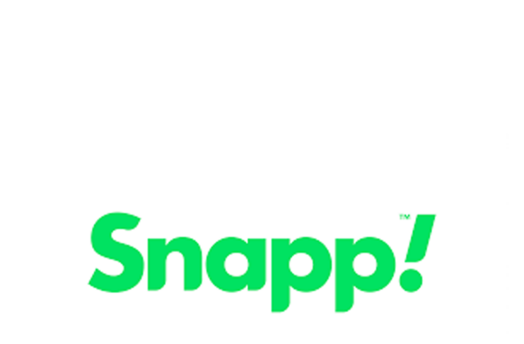 Snapp group Iran publish 2020 annual report Snapp logo