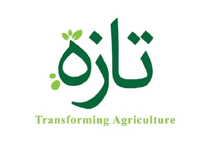 Agritech Tazah raised $2M in pre-seed funding Tazah logo