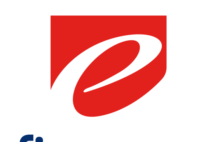 E-FINANCE in Egypt going public via IPO e-finance logo